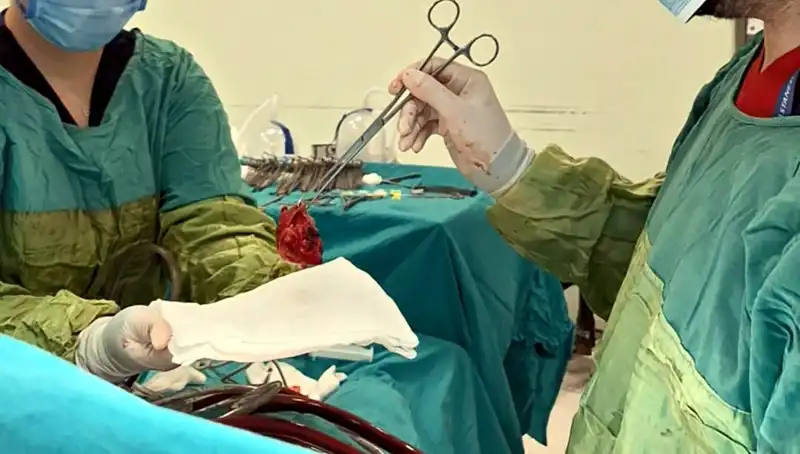 Kalp Kapağı Çürüyen Hastanın Zorlu Ameliyatı: Doktorlardan "Mucizevi Olay" Açıklaması