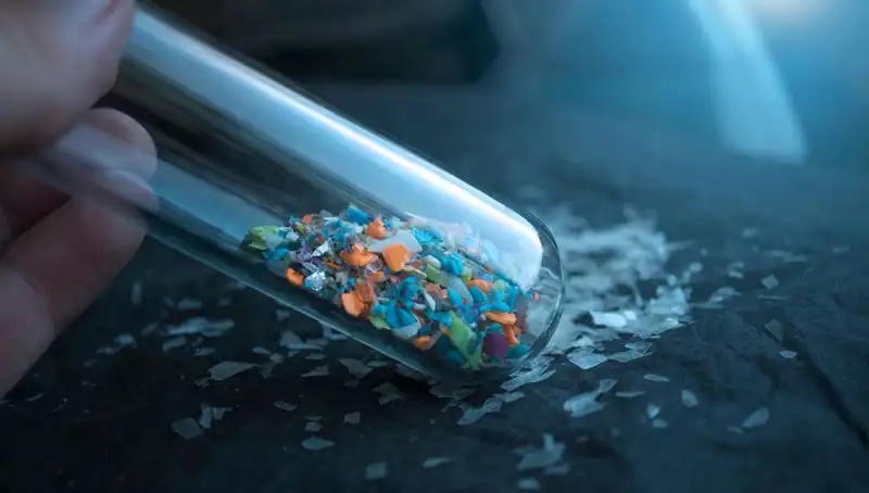 Mikroplastikler İnsan Beynine Ulaşarak Sağlığımızı Tehdit Ediyor
