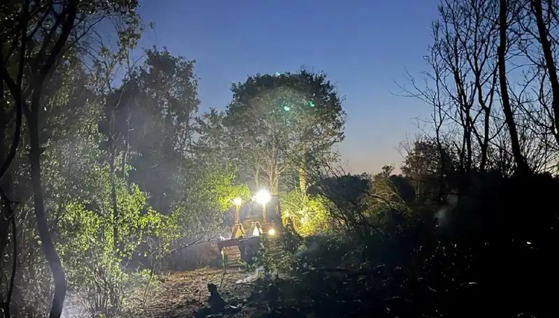 Edirne'deki Orman Yangını: Doğa Tehlikeyi Aşarak Yeniden Canlanıyor