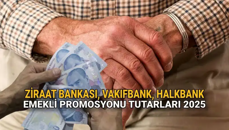 2025'te Emeklilere Kamu Bankalarından Rekor Promosyon Fırsatları Bekleniyor