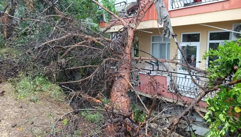 Yağmura Dayanamayan Bina, Büyük Bir Gürültüyle Yıkıldı!