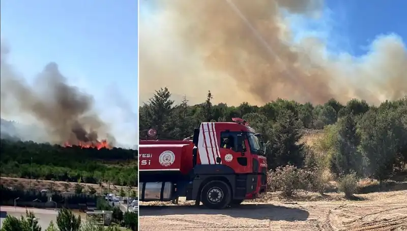 Gebze'deki Orman Yangını: Doğanın Kalbinde Korkutan Alevler