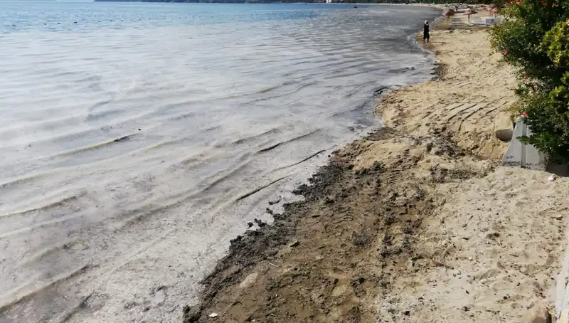 Marmara Denizi'ndeki Müsilaj Sorunu: 268 İşletme Kapandı!