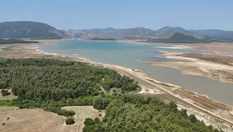 İzmir'de Tehlike Çanları Çalıyor: Geçen Yıla Göre Yüzde 50 Düşüş Nedenleri