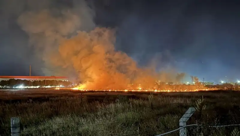 İzmir’de Gece Yarısı Ortaya Çıkan Yangın, Panik Yarattı!