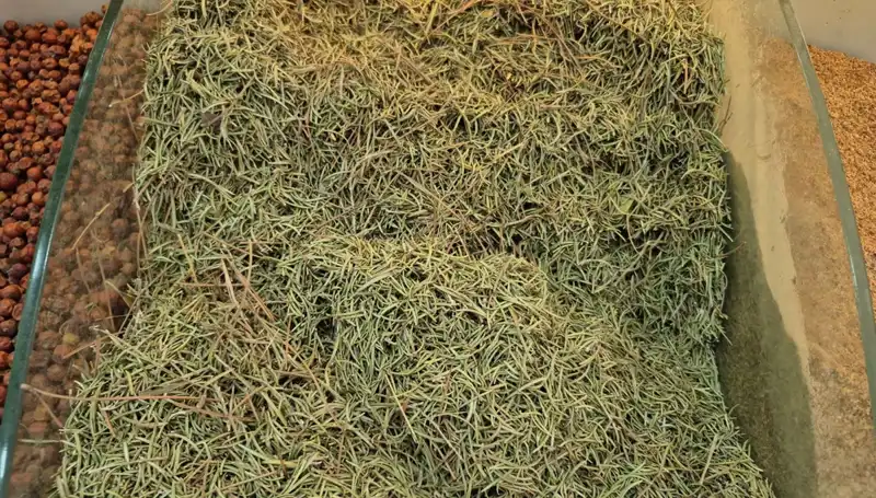 Yaz Aylarında İnternette Artan Tehlikeli Ürün Satışı