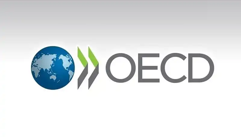 Türkiye'nin Ekonomik Geleceği: OECD'den Beklentiler ve Tahminler