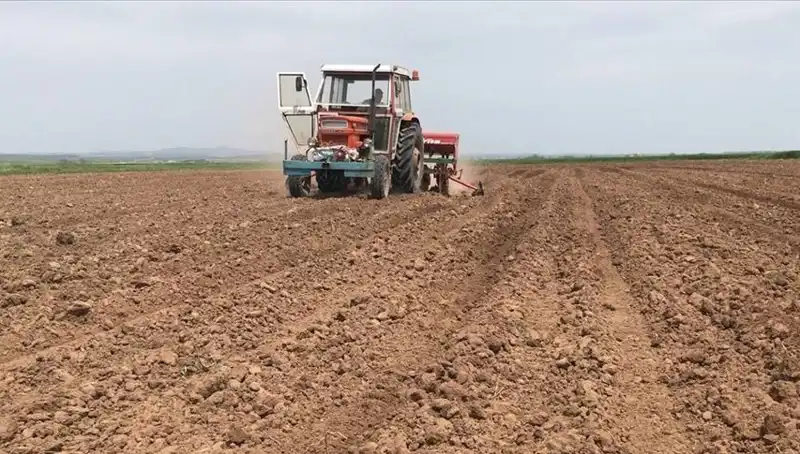 Son 35 Yılın En Kurak Mart Ayı: Yağışlarda Şok Düşüş!