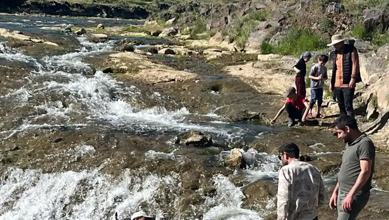 İnci Kefali Göçü: Doğa Harikası Turistleri Cezipe Ediyor