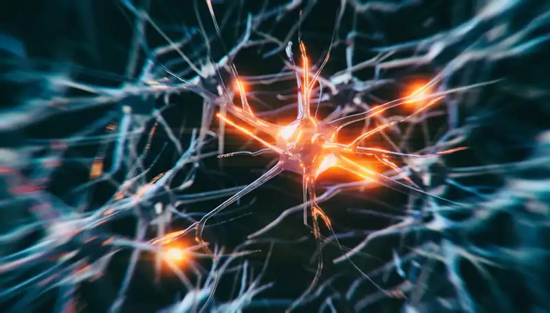 Alzheimer Vakalarındaki Artışın Sebepleri ve Gelecekteki Öngörüler