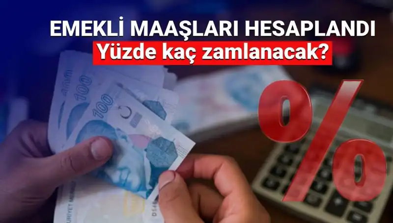 Emekli Zammında Son Gelişmeler: Beklentiler ve Rakamlar Neleri Gösteriyor?