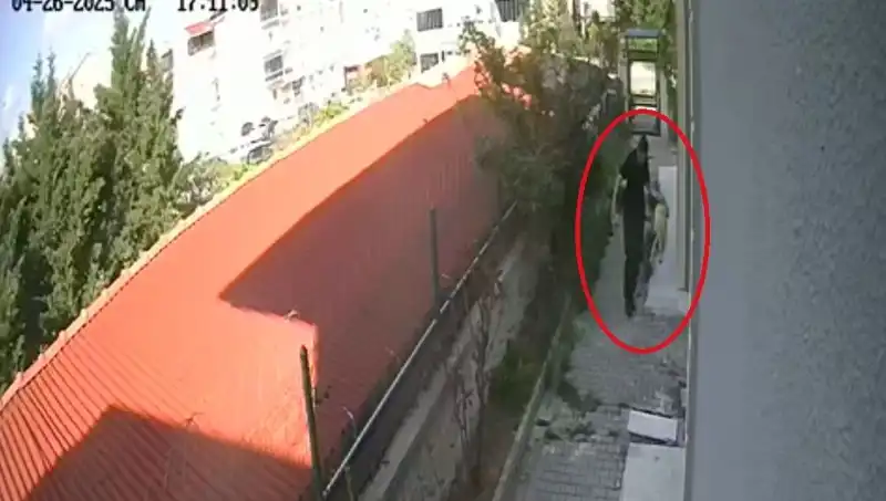 Veteriner Doktoru, Sahiplendiği Köpekleri Parçaladı: Şok Edici Olayın Ayrıntıları