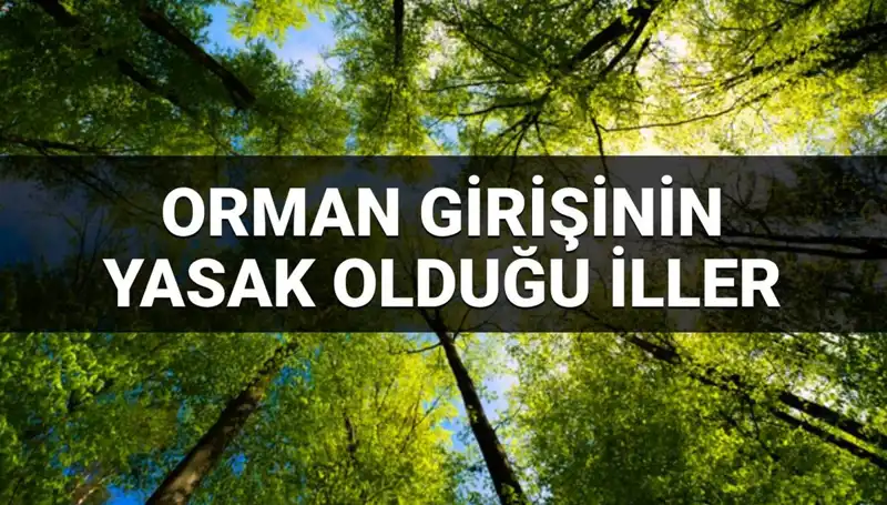 Ormana Girmesi Yasaklanan İller: 2025'te Hangi Bölgelere Dikkat Etmeliyiz?