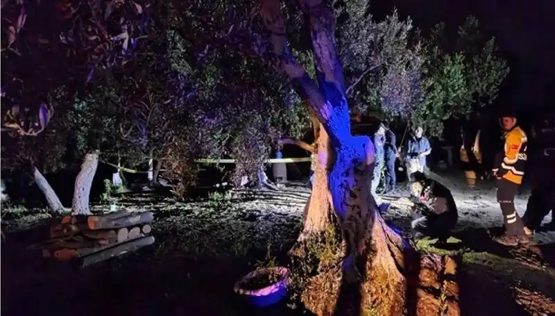 Çiftlikteki Dehşet Verici Olayda Bir Tutuklama Gerçekleşti!