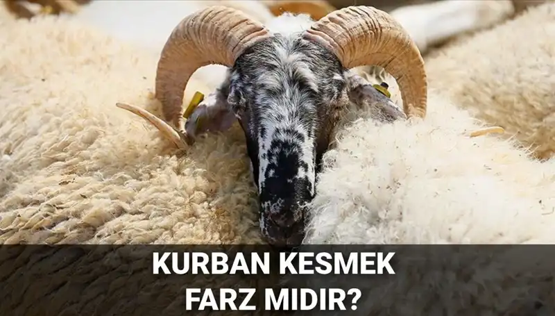 Kurban Kesmenin Farz Olup Olmadığı: İslam'da Şartları Neler?